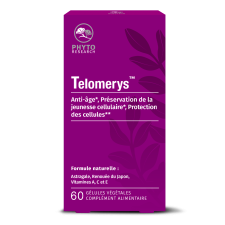 Telomerys