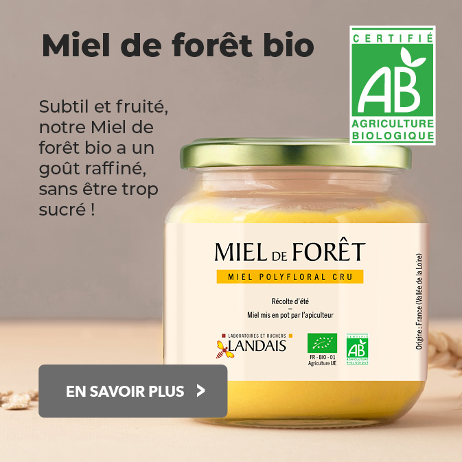 miel-de-foret-bio