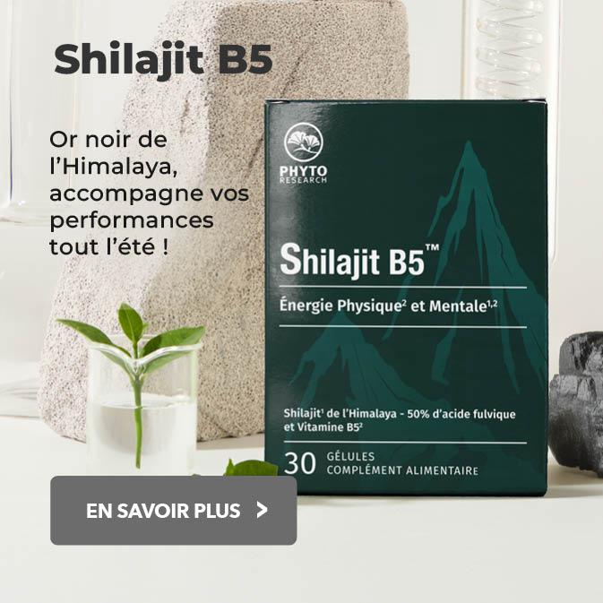 Shilajit B5